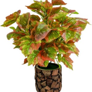 FITDREEZ Artificial Money Plant